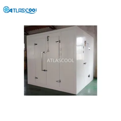 Small Kitchen Cold Room Freezer