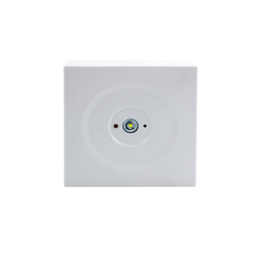 Hot Selling Square LED Emergency Down Light - Surface Mounted