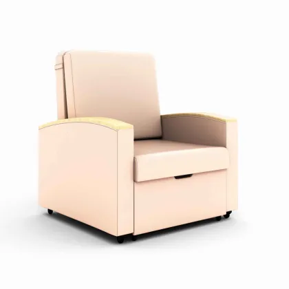 Healthcare Hospital Furniture: Patient Room Companion Sofa Bed