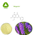 Scutellaria Baicalensis Extract Wogonin 98% Powder Price