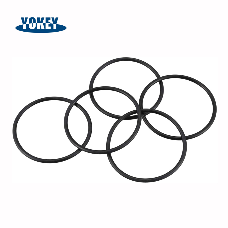 Good Ozone Resistant Rubber O-Ring FKM FFKM O-Rings for Hydraulic Machines