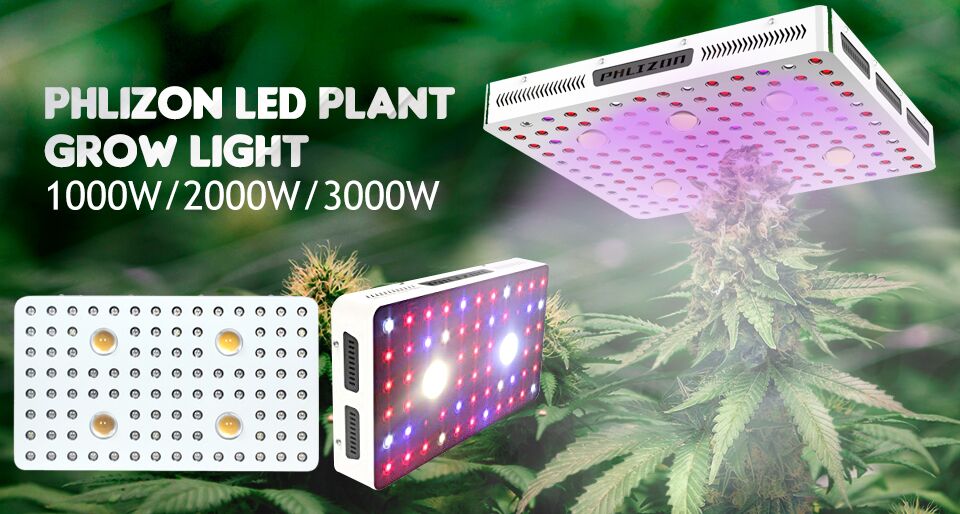 COB LED Grow Light