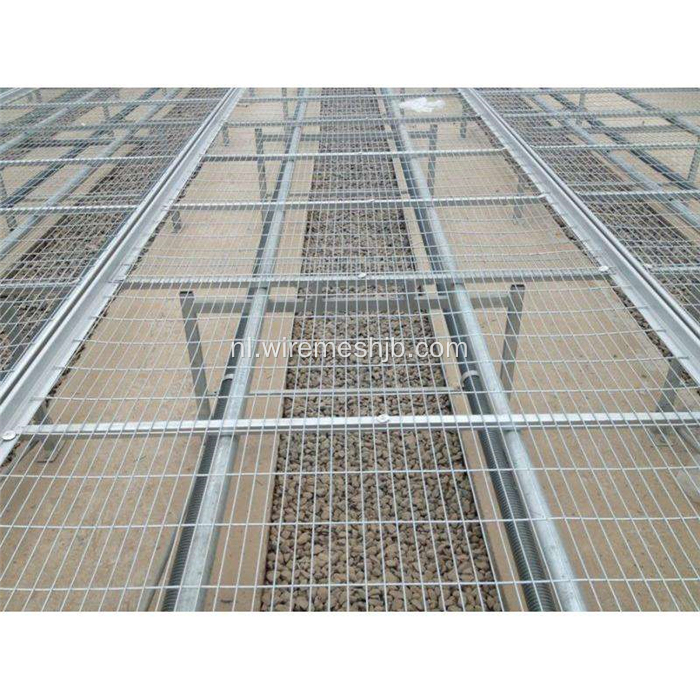 Seedling Bed Mesh- Gegalvaniseerde Gelaste Mesh Sheets