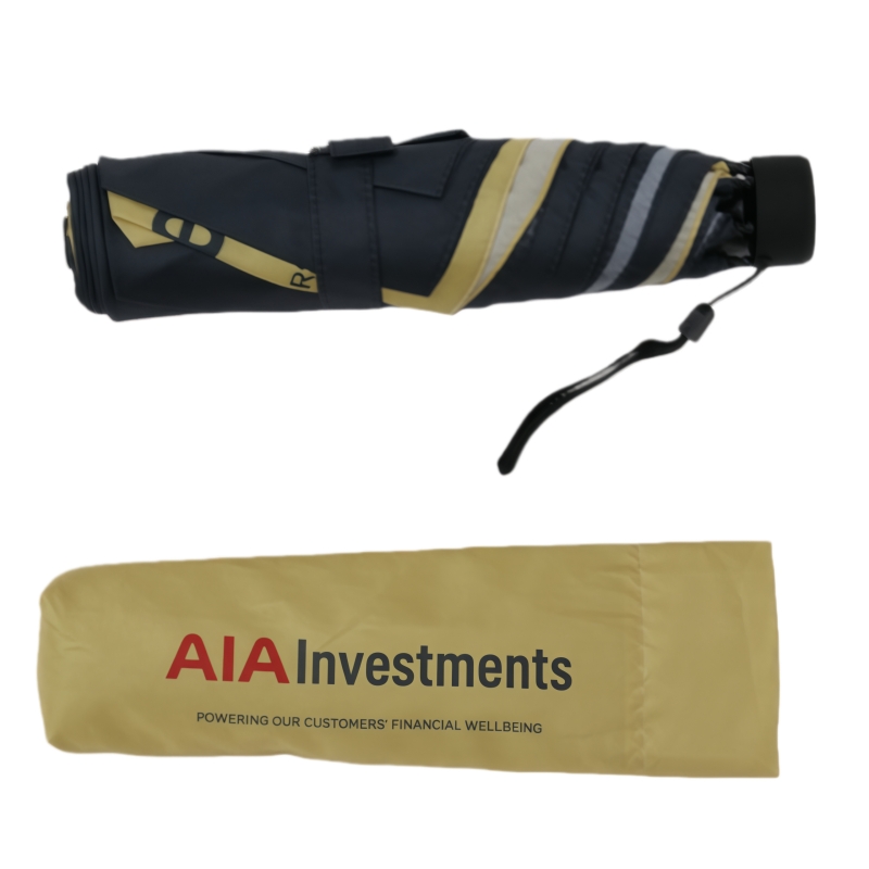 Promotional Umbrella for University