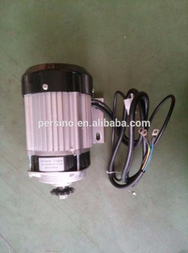 24v electric China bruhselss dc motor for kids tricycle