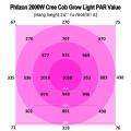 CE ROHS 110V 2000W Cob Plena Spectrum Light