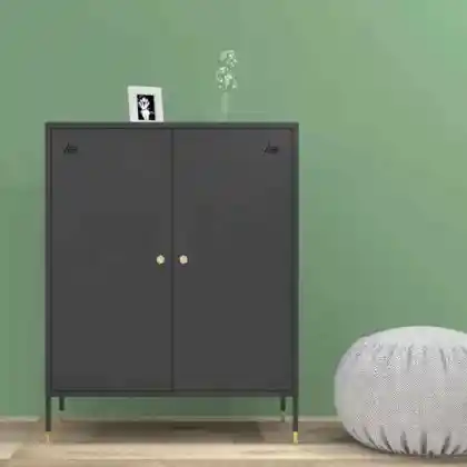 Custom Home Furniture Storage Cabinets for Living Room and Bedroom