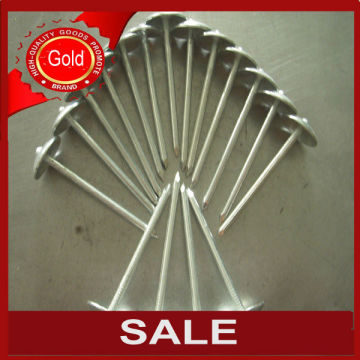 Hot Sale! umbrella roofing nails factory/supplier