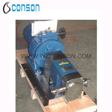 304 and 316 Stainless steel rotor pump