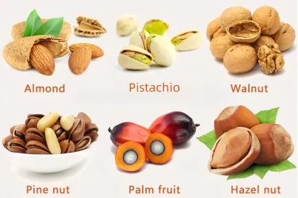 Automatic Almond Palm and Pecan Nut Kernel and Shell Separator