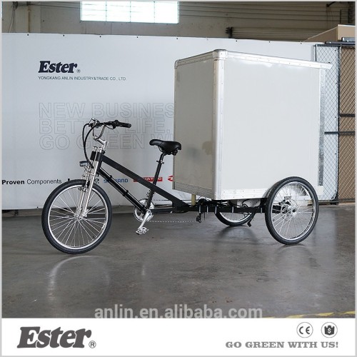 ESTER Heavy Load Electric Assisted Cargo Trike