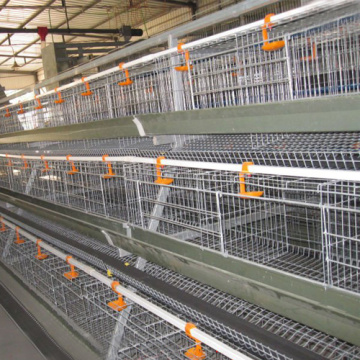 Болат құрылымы Ауылшаруашылық ғимараты