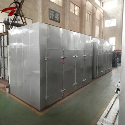 Fruit Slice Dryer Oven