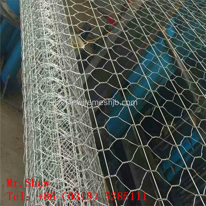 Treillis métallique hexagonal de bétail de poulet à coté de PVC