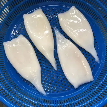 Cleaned Iqf Frozen Giant Squid Tube For Sale
