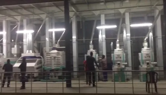 Complete Rice Milling Line Turn-key Project Full Rice Mill Plant