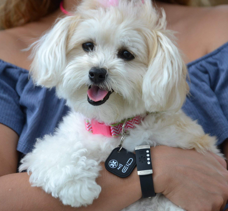 GPS Pet Identification Tag