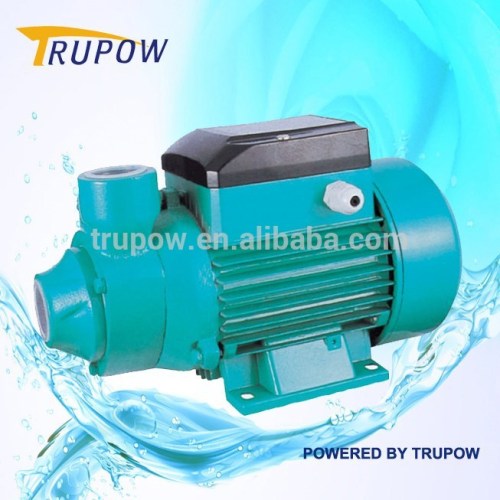 Professional Water Pump With Cast Iron And Power 750w, High Quality