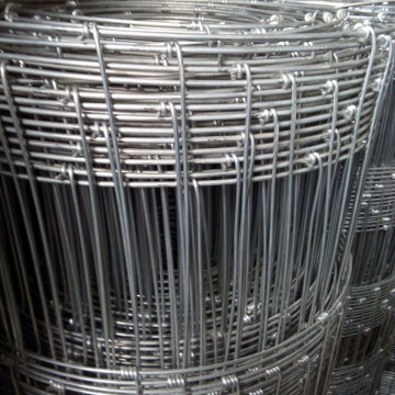 Rete di recinzione per recinzione galvanizzata a caldo