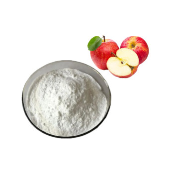Delicious and Nutritious Freeze-Dried Apple Powder