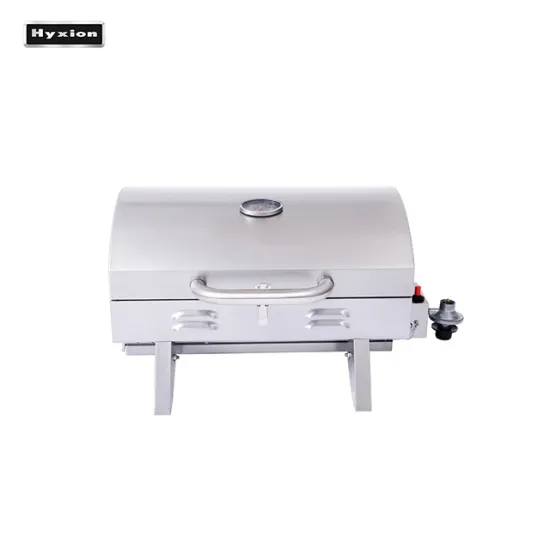 HGG2002U Stainless steel BBQ Grill  20 Inch Home Use Gas BBQ Grill Outdoor Garden BBQ Product