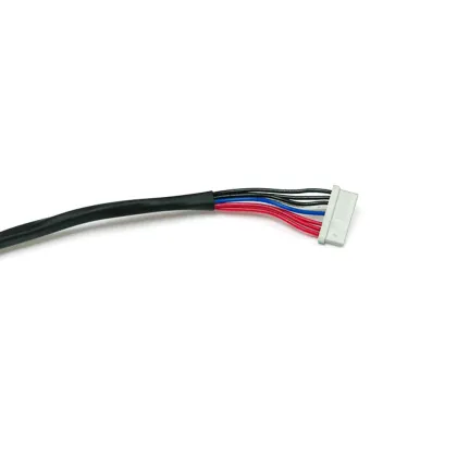 Electric Vehicle Lighting Wiring Harness