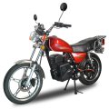 TZ Hub-Motor Electric Motorcycle