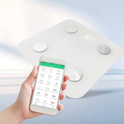 Medical Treatment and Personal Training for Marathon Runners - Health Scale TS-BF8066