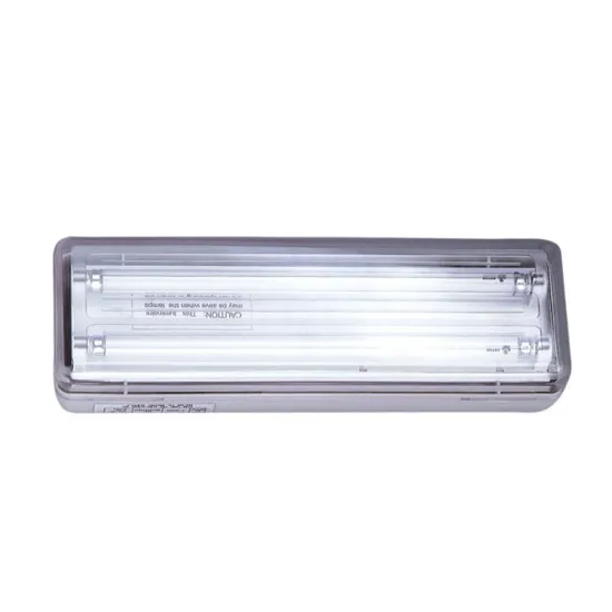 IP40 Waterproof Emergency Exit Lighting: Back-Up Safety Illumination Solutions