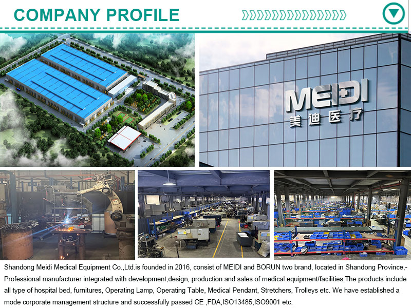 Company profile