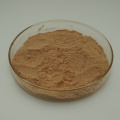 Harmaline powder Camelwool Seed Extract 98% Peganine