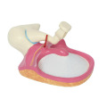 /msite/products/detail/productid/63649435/id/1517769.html