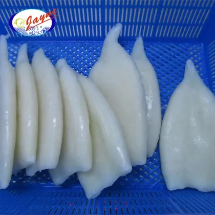 China factory good quality types of seafoods squid tube iqf