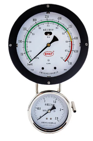 190mm Differential pressure level gauge