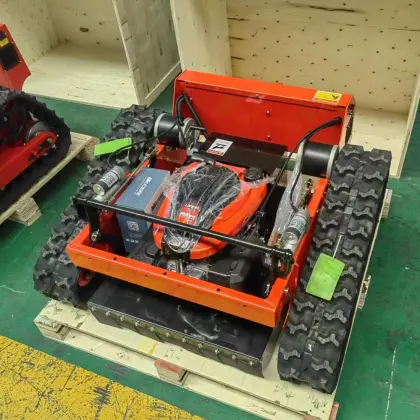 Robotic Lawn Mower Controller