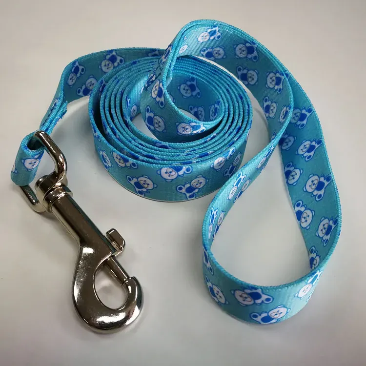 Adjustable Pet Training Collar and Leash Set