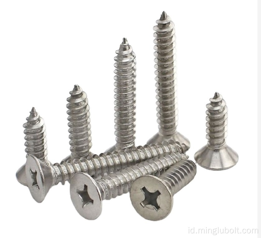 304 316 Stainless Steel Self Tapping Screww