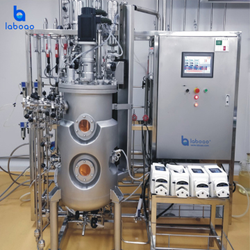 Laboao Streamlines Biopharmaceutical Production with Scalable Stainless Steel Bioreactors