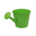 Detachable sprinkler exterior galvanized metal pot s