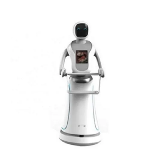 Humanoid Robot Waiter Quality Cafe Service Robot