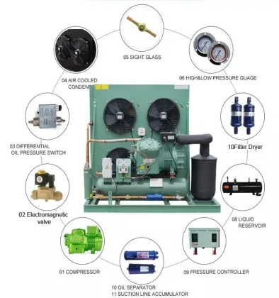 High Performance Two-Stage Bitzer Compressor Air-Cooled Condensing Unit for Cold Room Storage