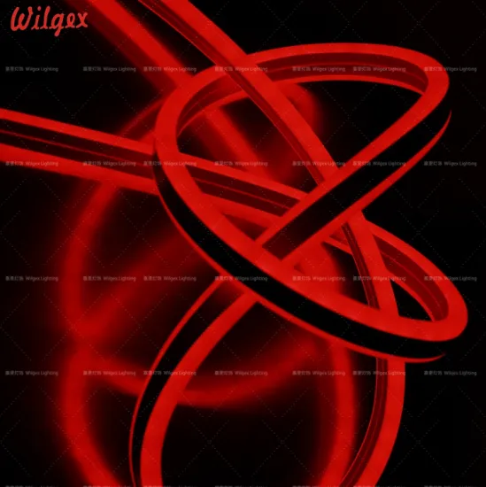 LED neon flex for Christmas