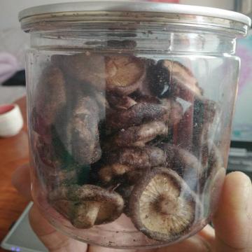 Des champignons shiitake en conserve de qualité