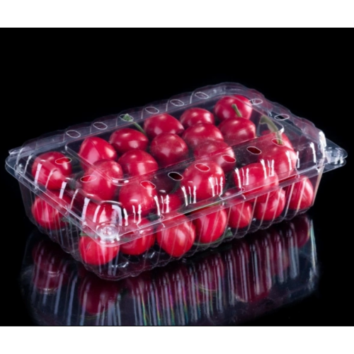 High hardness cherry tomatoes plastic box