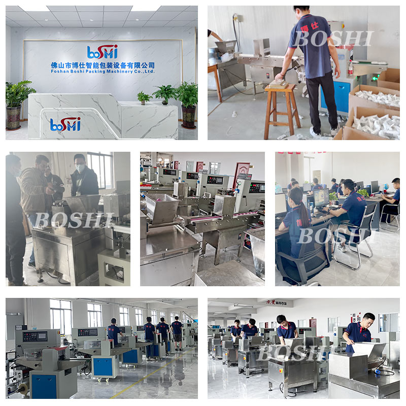 Extruder Machine for Maize Gulten Feed Packaging Machine Cat Dog Bee Feed Meat Shrimp Bean Bee Paste Packing Machine6