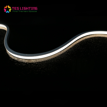 bande led élèvent des lumières néon flex étanche ip68