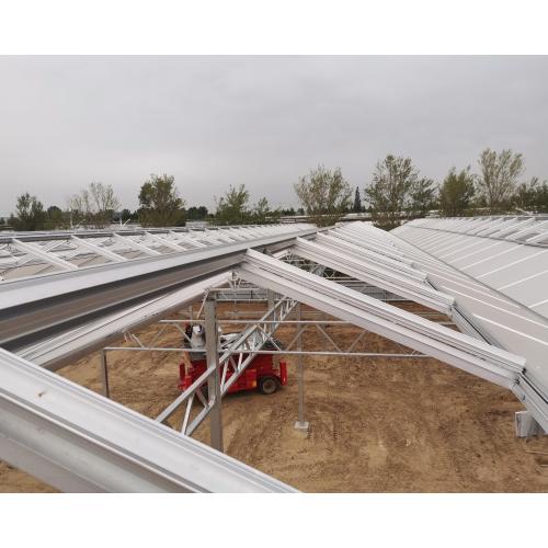 Custom 16mm Polycarbonate Panel Greenhouse