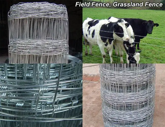 ANPINE Fabrication Galvanisé Wire Horse Grassland Net de sécurité clôture