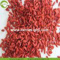 Fruits d&#39;approvisionnement d&#39;usine saine grande taille Goji Berry