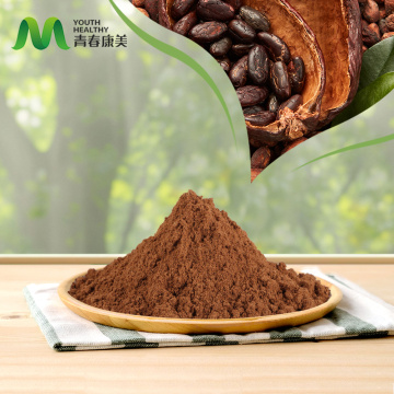Polvere di cacao premium per additivi alimentari